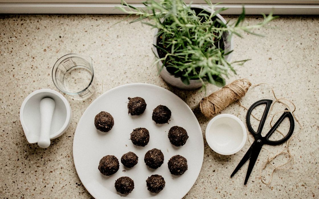 DIY für die Bienen – Seedbombs einfach selbst herstellen
